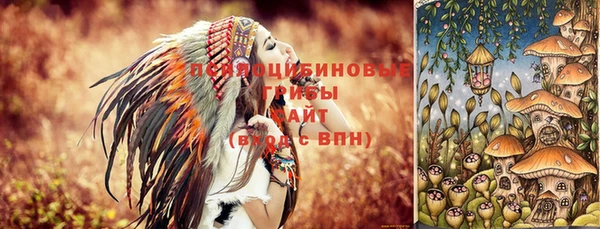 кокс Алексин