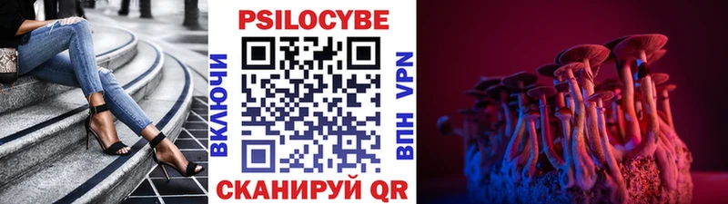 Галлюциногенные грибы мицелий  маркетплейс Telegram  Нестеров 